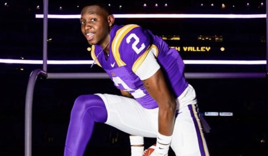 Meet LSU’s Latest Additions: Tight Ends